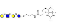 Lacto-N-neotetraose (LNnT /...