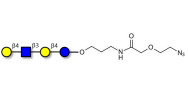 Lacto-N-neotetraose (LNnT /...