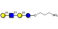 Lacto-N-neotetraose (LNnT /...