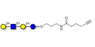 Lacto-N-neotetraose (LNnT /...