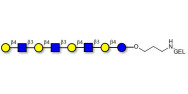 Lacto-N-neooctaose (LNnO)...