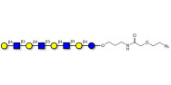 Lacto-N-neooctaose (LNnO)...