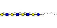 Lacto-N-neooctaose (LNnO)...