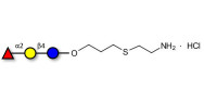 Blood group H antigen...