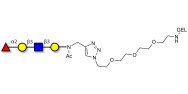 Blood group H antigen...