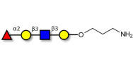 Blood group H antigen...