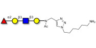 Blood group H antigen...