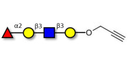 Blood group H antigen...