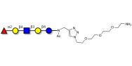 Blood group H antigen...