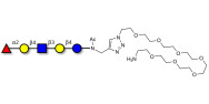 Blood group H antigen...