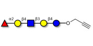 Blood group H antigen...