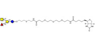 Blood group A antigen...