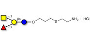 Blood group A antigen...