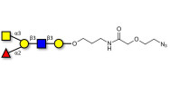 Blood group A antigen...