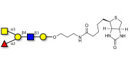 Blood group A antigen...