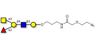 Blood group A antigen...