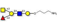 Blood group A antigen...