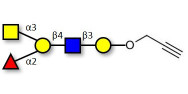 Blood group A antigen...