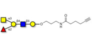 Blood group A antigen...