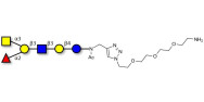 Blood group A antigen...