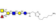 Blood group A antigen...