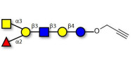 Blood group A antigen...