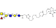 Blood group A antigen...