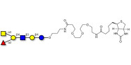 Blood group A antigen...