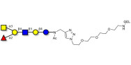 Blood group A antigen...