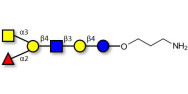 Blood group A antigen...