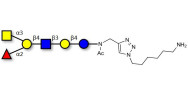 Blood group A antigen...