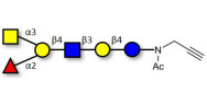 Blood group A antigen...