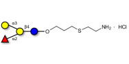 Blood group B antigen...