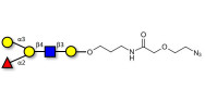 Blood group B antigen...