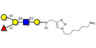 Blood group B antigen...