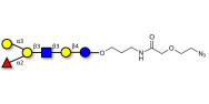 Blood group B antigen...