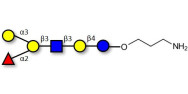 Blood group B antigen...