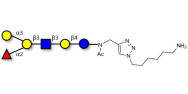 Blood group B antigen...