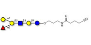 Blood group B antigen...