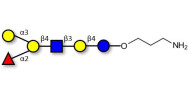 Blood group B antigen...