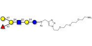 Blood group B antigen...