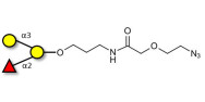 Blood group B antigen...