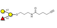 Blood group B antigen...