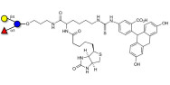 3-Fucosyllactose (3-FL)...