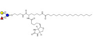 3-Fucosyllactose (3-FL)...