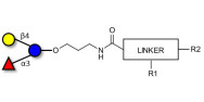 3-Fucosyllactose (3-FL)...