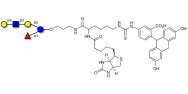 Lacto-N-neofucopentaose V...