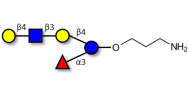 Lacto-N-neofucopentaose V...