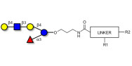 Lacto-N-neofucopentaose V...