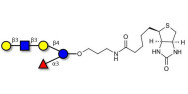 Lacto-N-fucopentaose V...